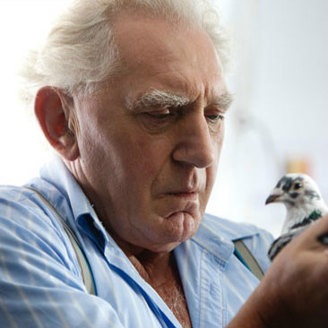 飞归故乡Jos Pauwels