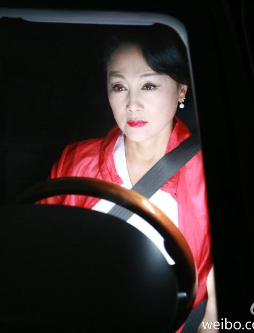 大导归来岳小康的扮演者是王姬