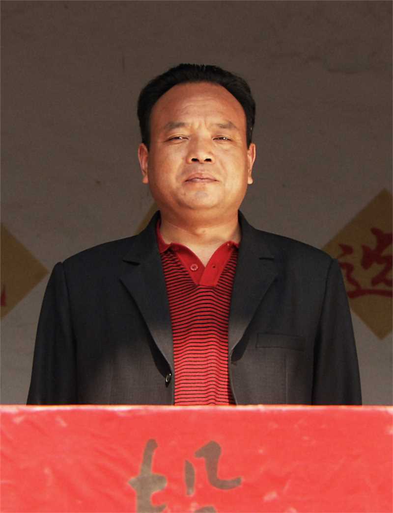 石榴树上结樱桃孟庆书