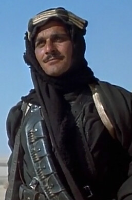 阿拉伯的劳伦斯阿里