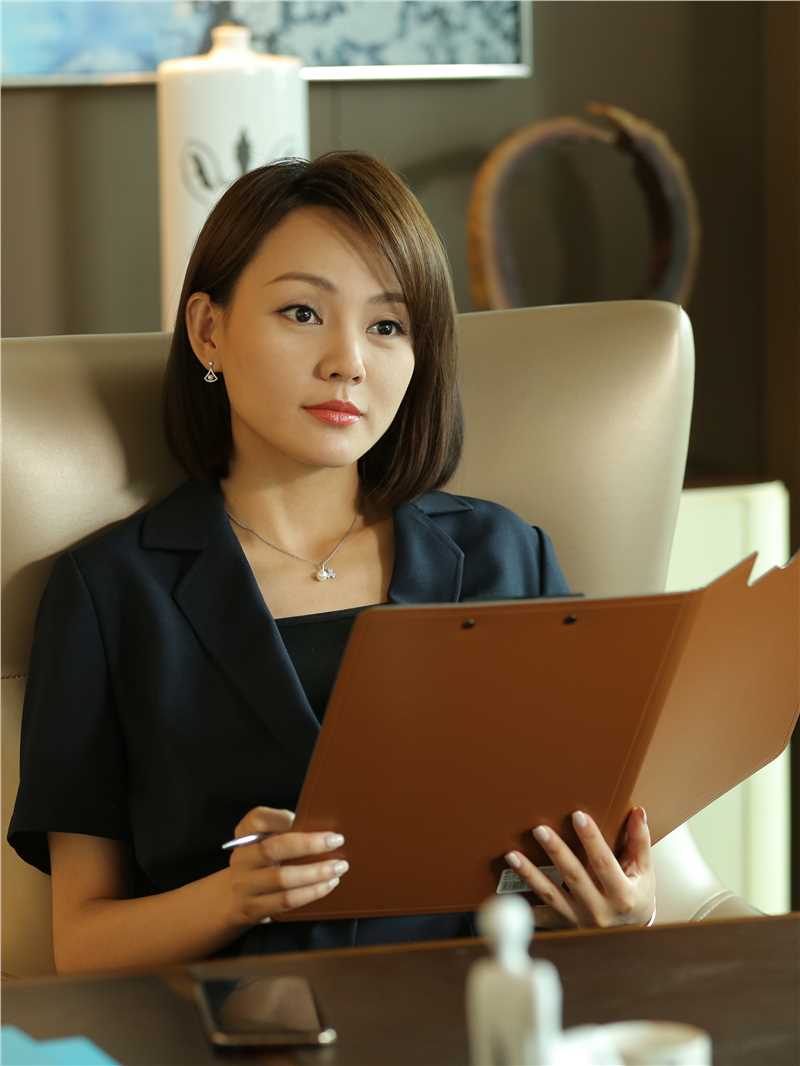 机械画皮蔡嘉钰