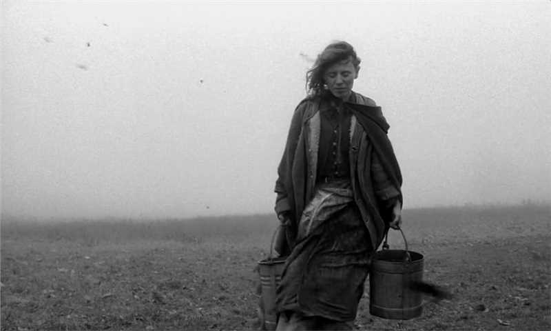 都灵之马欧兹多佛