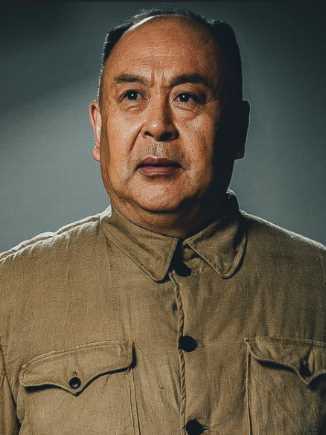 大决战第二部：淮海战役陈毅