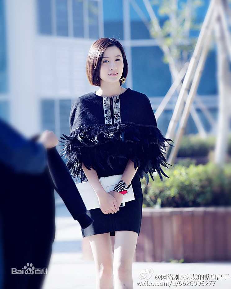 女总裁的贴身高手何岚