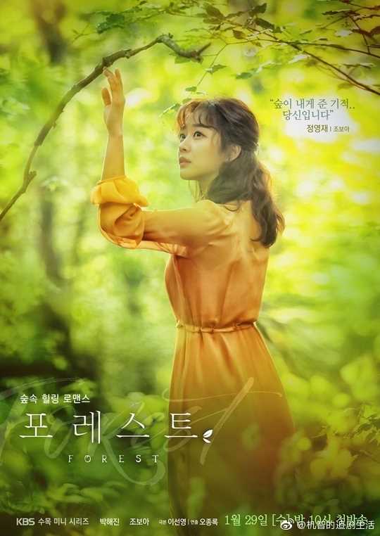 森林Forest郑英在