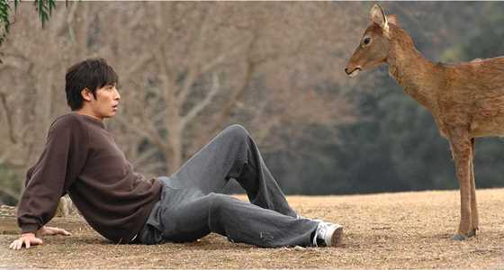 鹿男与美丽的奈良剧照