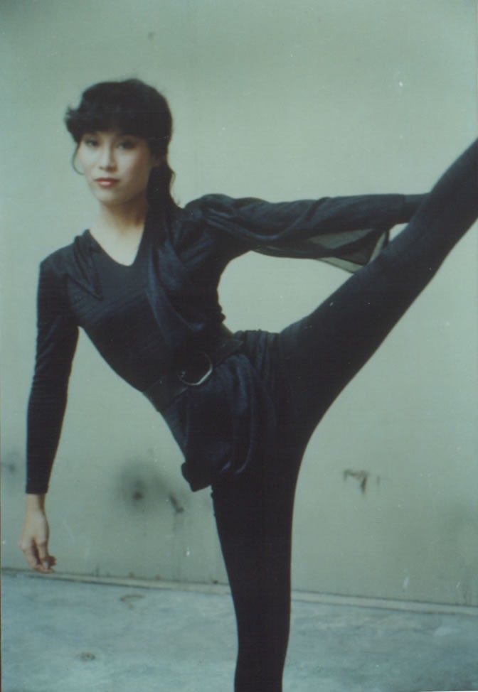 女黑侠木兰花木秀珍