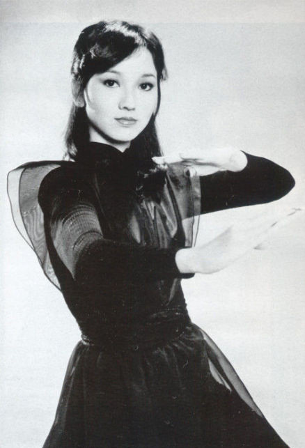 女黑侠木兰花木兰花