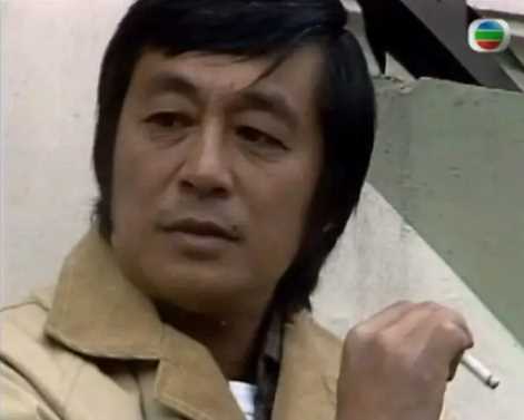 女黑侠木兰花程无悔