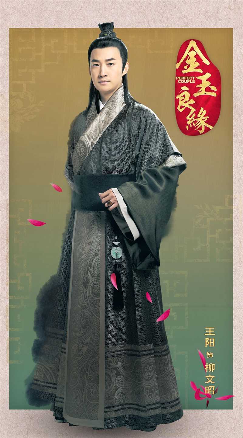 金玉良缘柳文昭的扮演者是王阳