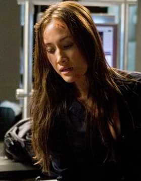 虎胆龙威4梅·利恩