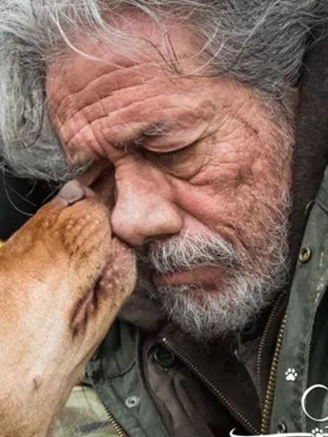 一条狗的回家路阿克塞尔