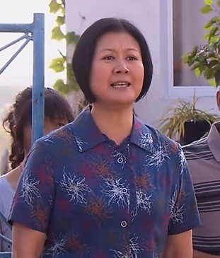 女人的天空(电视剧)吴雪梅