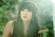 求爱大作战白菊花