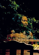 能召回前世的布米叔叔儿媳妇