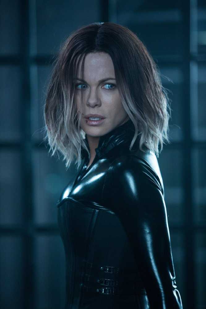 黑夜传说5：血战赛琳娜