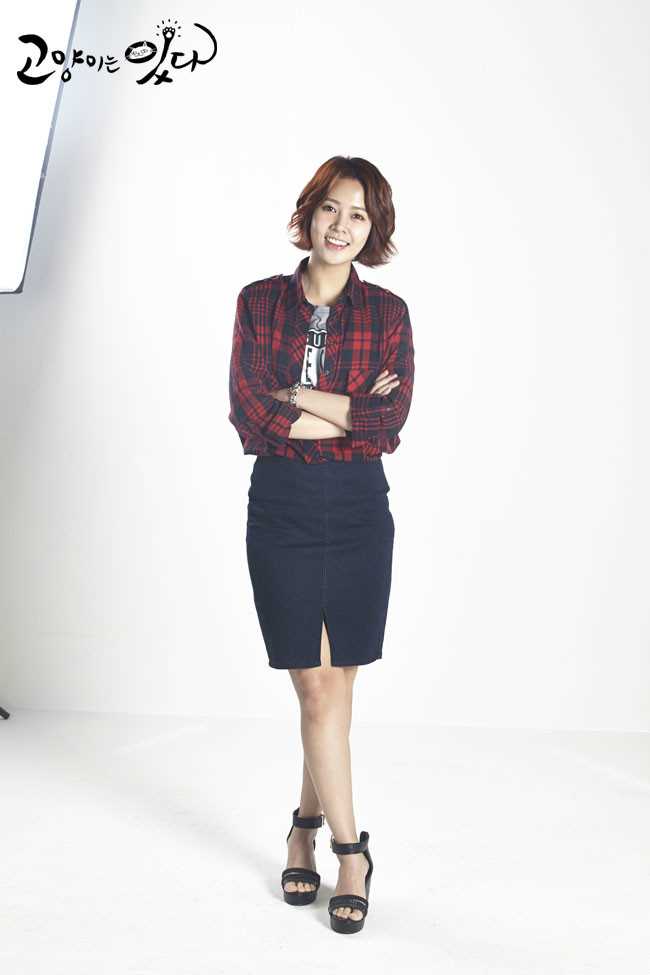 猫来了！喵高阳顺