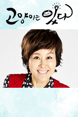 猫来了！喵韩永淑