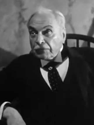 海外特派员范·梅尔