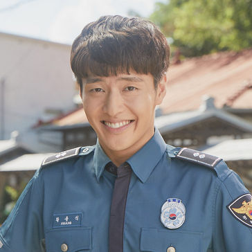 山茶花开时黄龙植