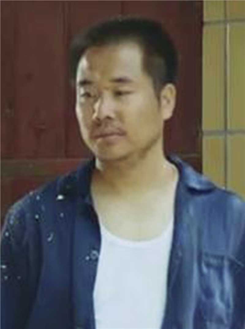 树上有个好地方巴五峰