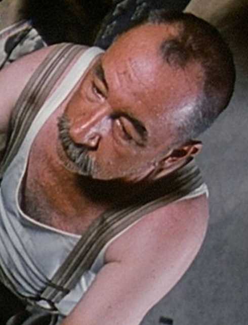 天堂电影院艾费多