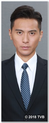 是咁的，法官阁下国语赖泽明