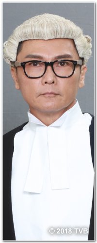 是咁的，法官阁下国语饶力宏