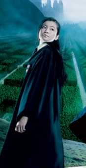 哈利·波特与火焰杯秋·张