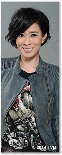 使徒行者TVB粤语版丁小嘉