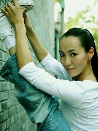 永春白鹤拳之擎天画卷陈凡