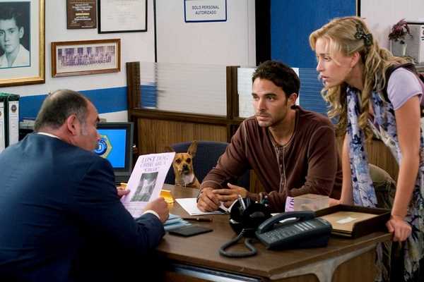 比佛利拜金狗安吉拉