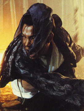 飞天舞南宫俊光