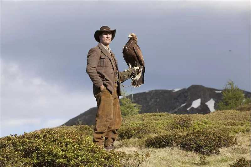 追鹰日记丹泽尔