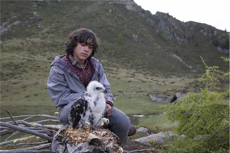 追鹰日记卢卡斯的扮演者是曼纽尔·卡马科