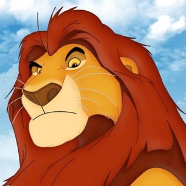 狮子王木法沙