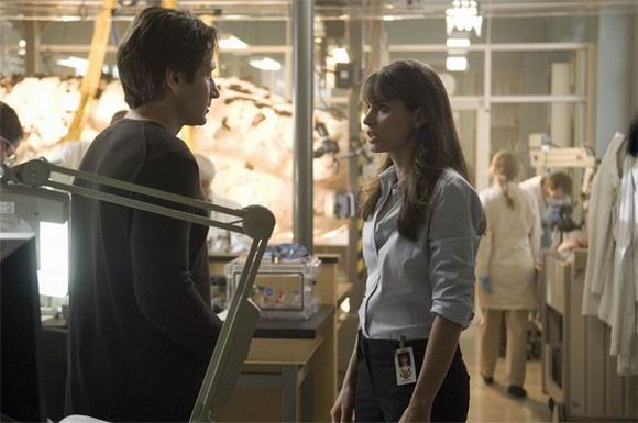 X档案：我要相信科塔·惠妮