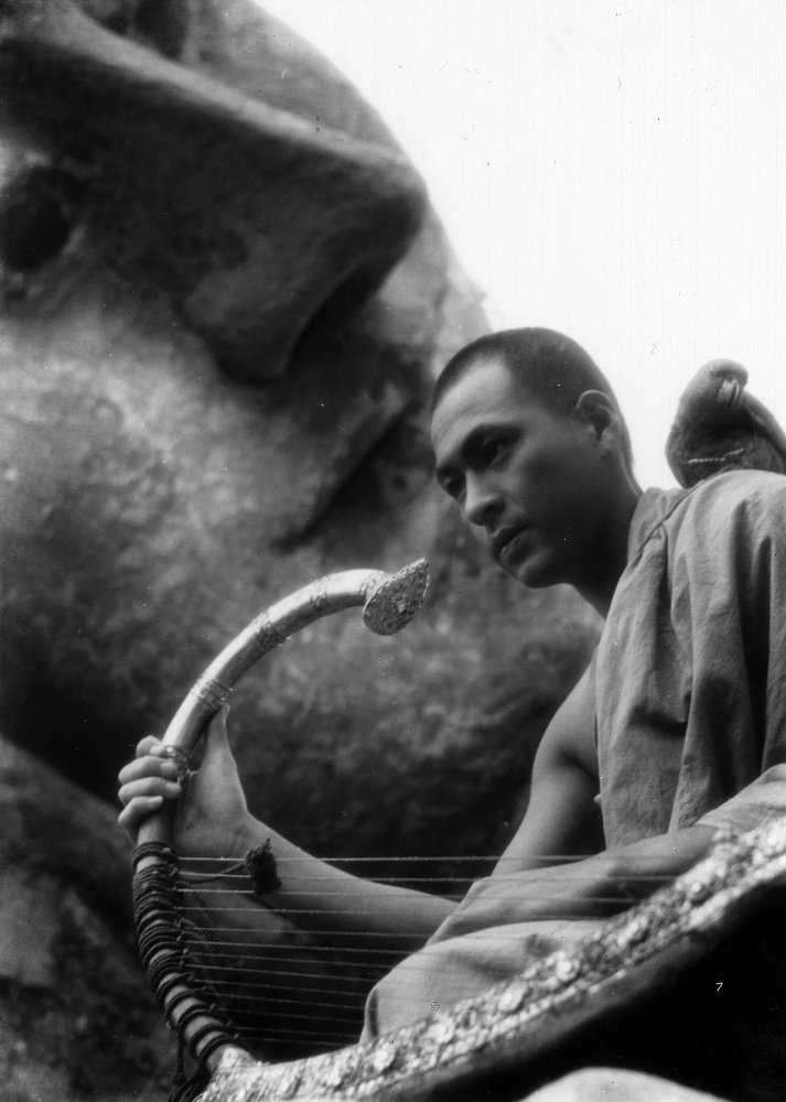 缅甸的竖琴水岛