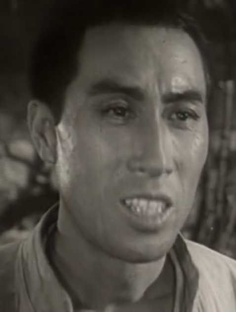 三进山城刘宏志