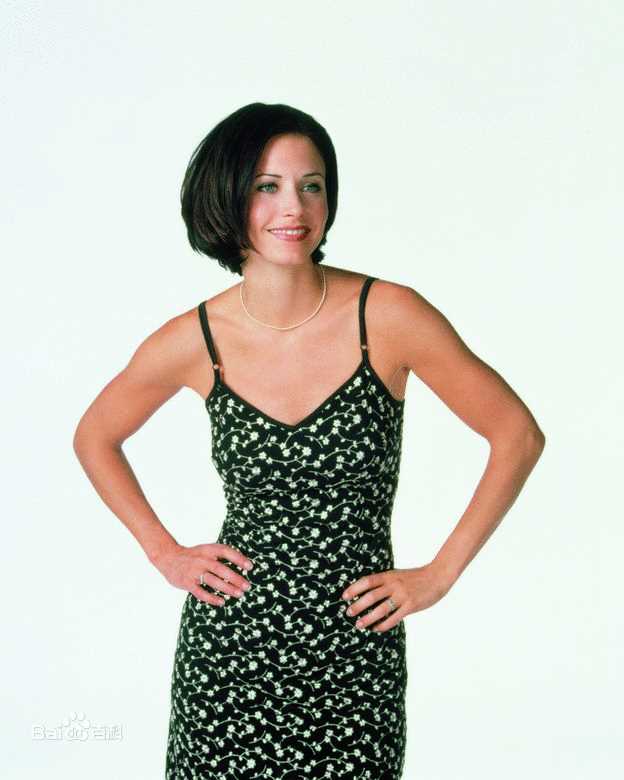 老友记第六季莫妮卡·盖勒