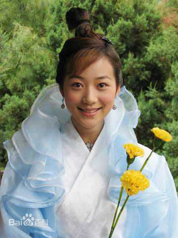 福星高照猪八戒铁扇公主