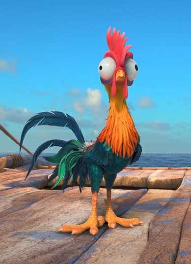 海洋奇缘小鸡憨憨