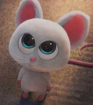 抢劫坚果店2Mr. Feng