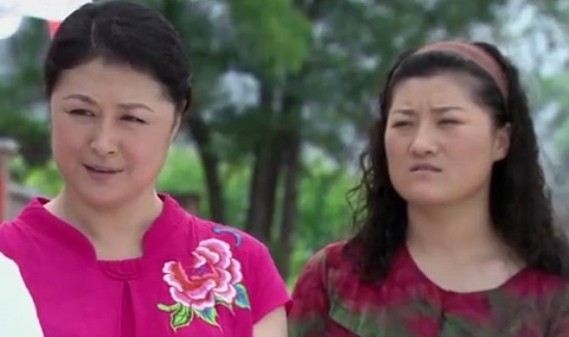 乡村爱情圆舞曲谢大脚