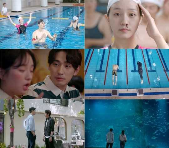 金枪鱼与海豚韩有罗