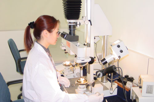 法医正在显微镜下观察病理学解剖的组织切片