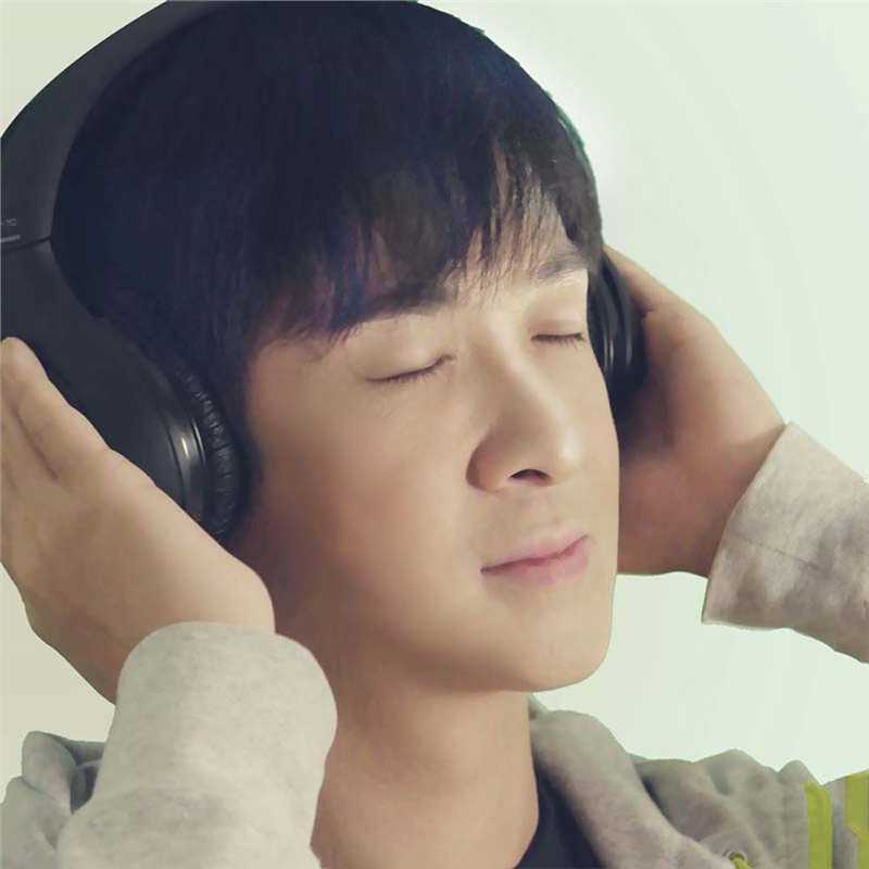 我的祖宗啊王陵