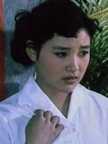 海外赤子黄思华 