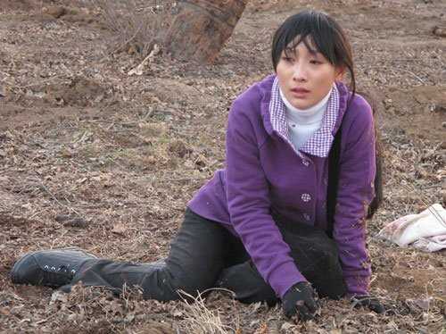 宝乐婶的烦心事金月