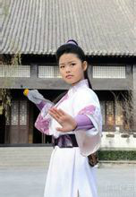 包青天之开封奇案艾虎